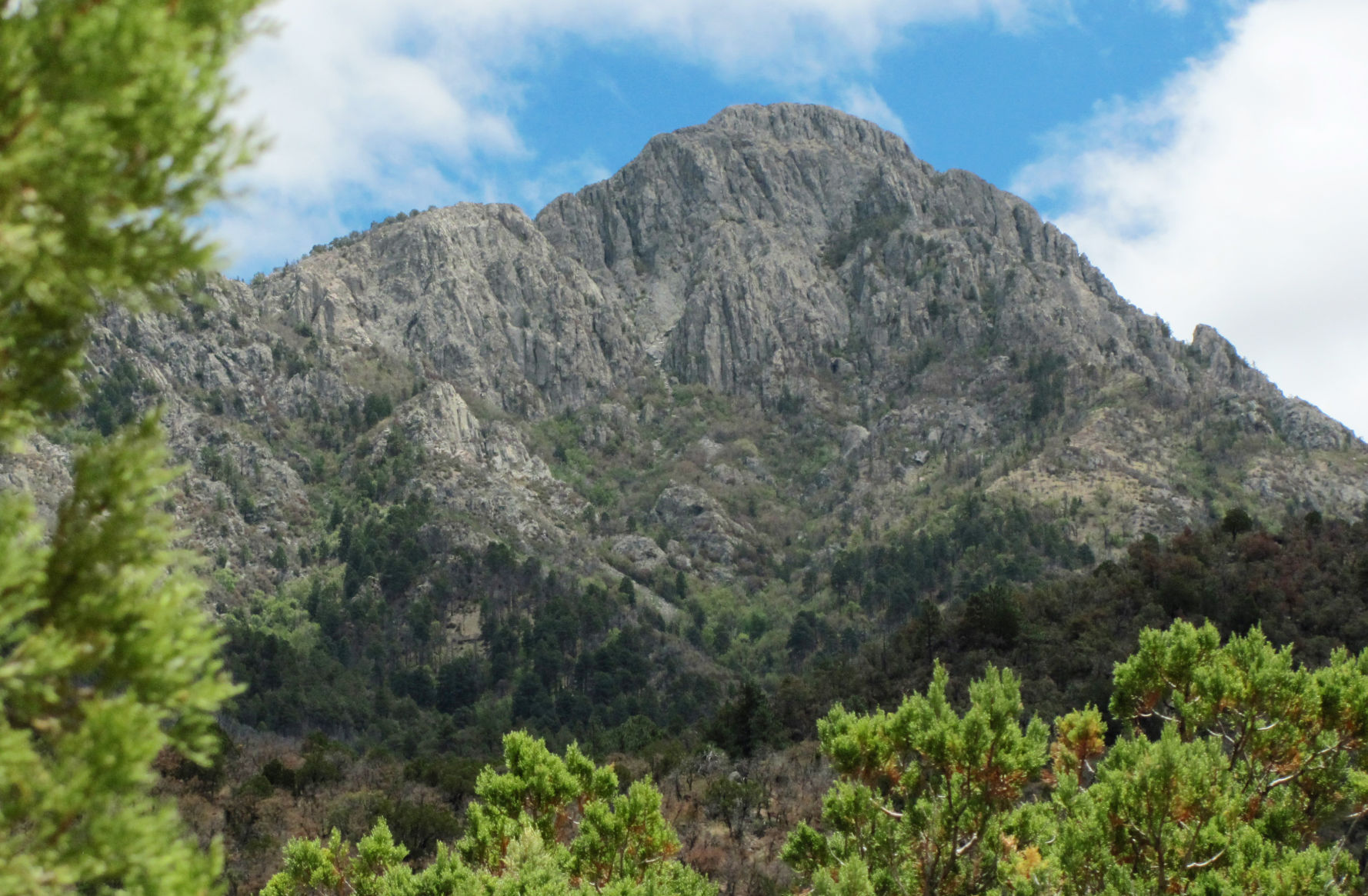 Mount Wrightson